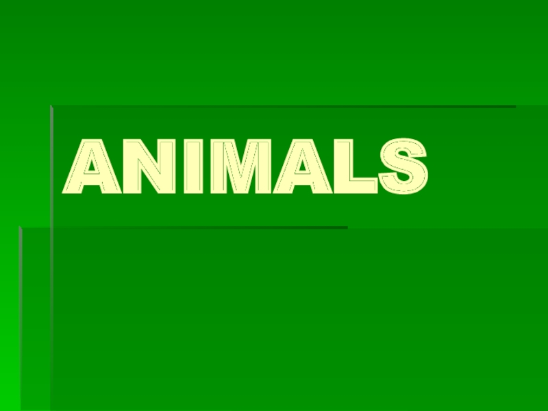 Animals 2 класс