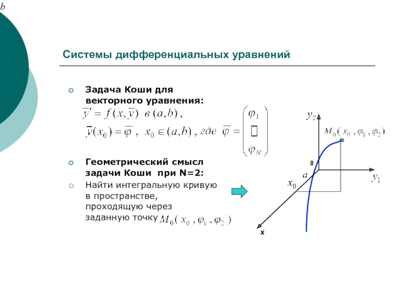 Геометрический смысл задачи коши