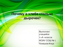 Научно-исследовательская работа Откуда в хлебе столько дырочек?