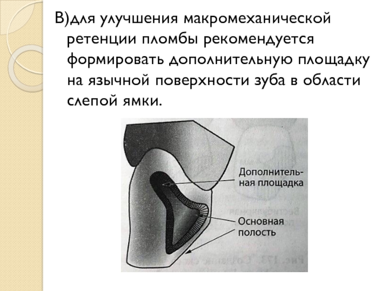 4 класс по блэку презентация