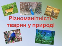 РІЗНОМАНІТНІСТЬ ТВАРИН