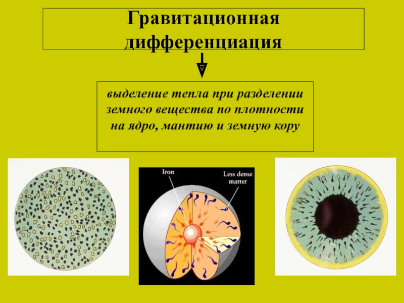 Живое вещество в земной коре