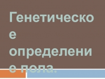 Генетическое определение пола