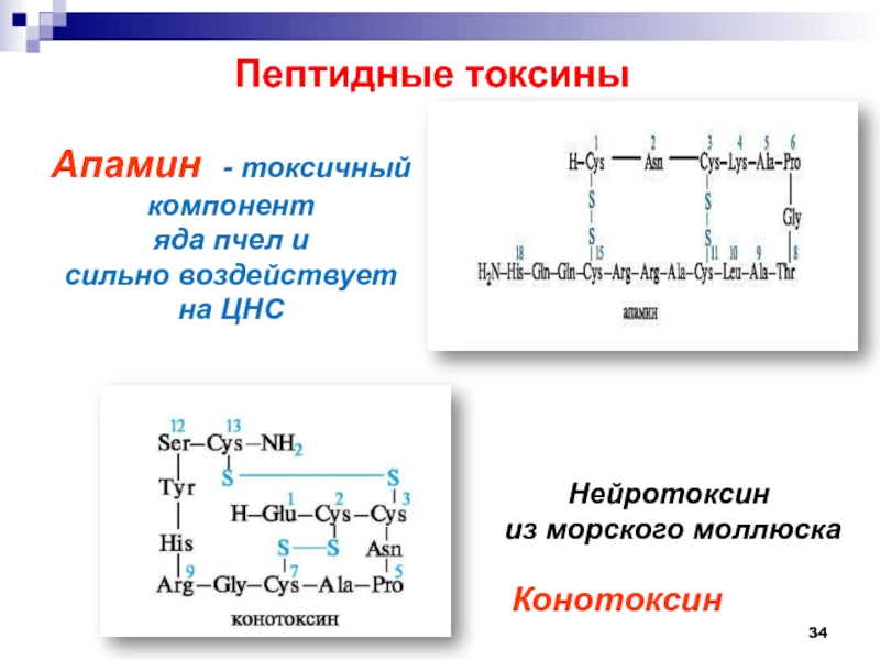 Аминокислоты пептиды белки презентация