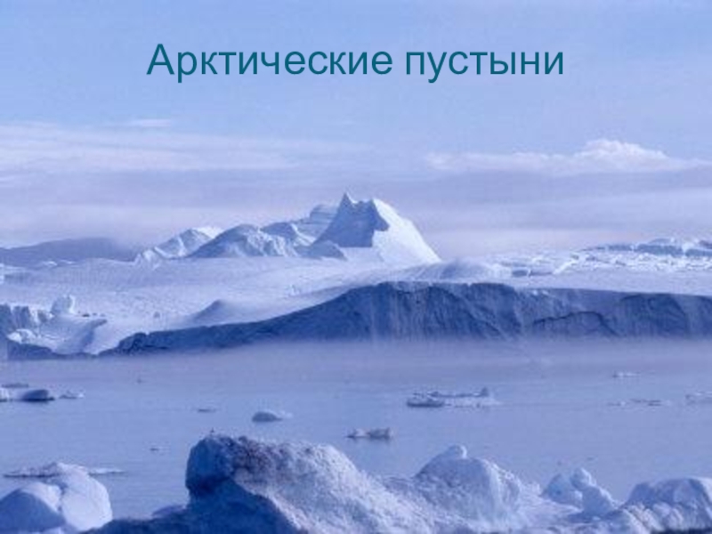 Рисунок зона арктических пустынь