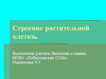 Строение растительной клетки 6 класс