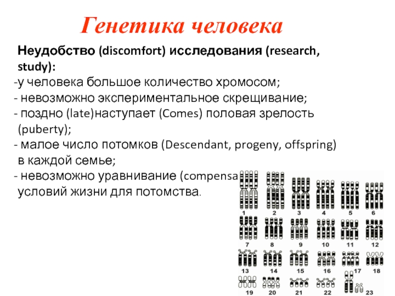 Генетика человека
Неудобство ( discomfort ) исследования ( research, study ):
у