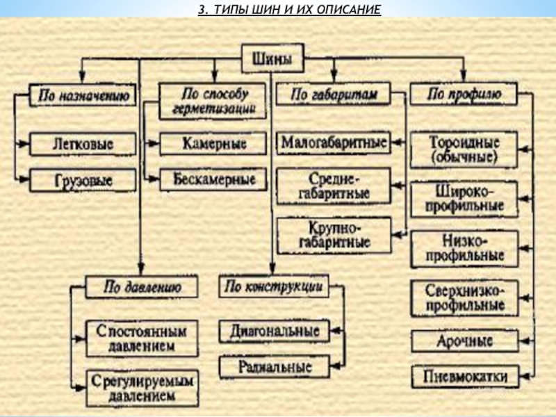 Презентация по теме шины