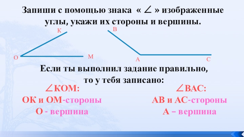 Обозначьте углы изображенные на рисунке