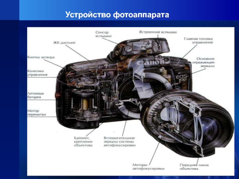 Устройство фотоаппарата. Устройство фотоаппарата презентация. Устройство зеркального фотоаппарата презентация. Устройство фотоаппарата для детей.