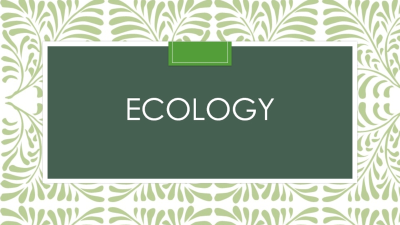 Презентация Ecology 8 класс