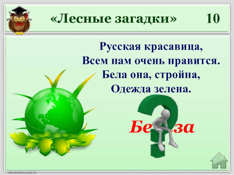 Загадки 10. Лесные загадки. Викторина Лесные головоломки. Загадки лесный где копя.