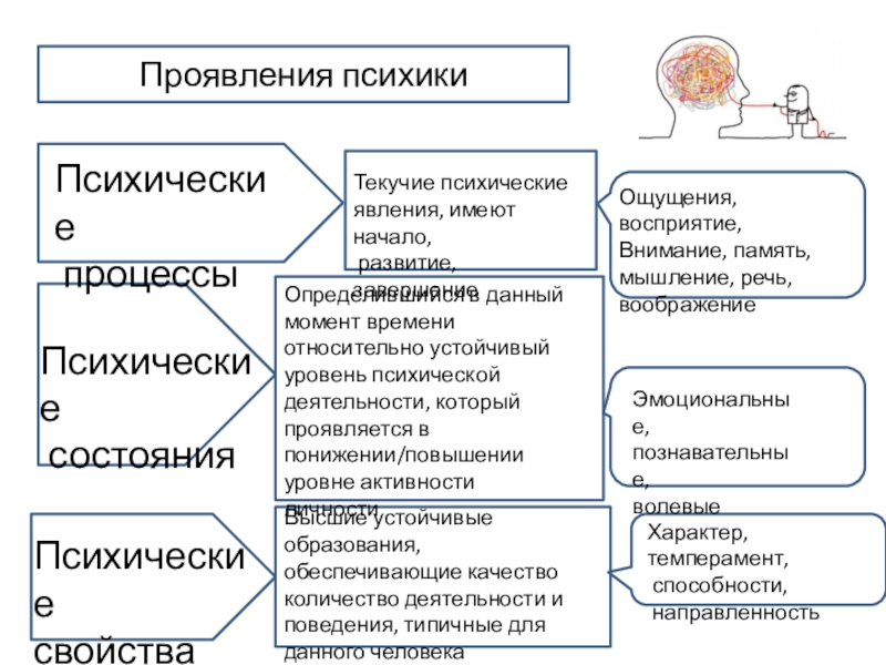 Доходы внешность психические свойства. Проявление психики. Уровни психики. Психические свойства устойчивые образования. Почему речь явление психофизическое.