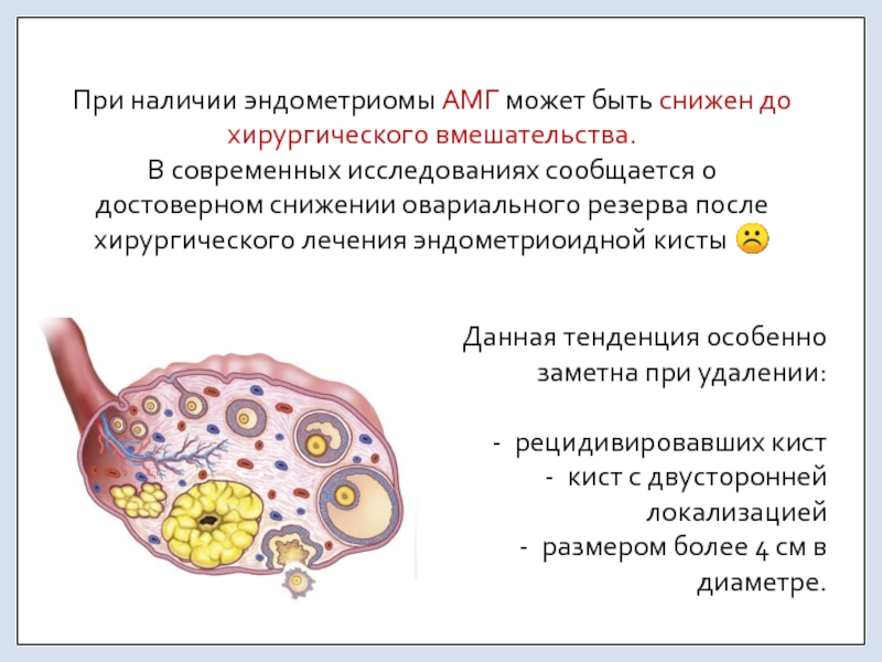 Амг яичников. Овариальный резерв яичников. Снижение овариального резерва яичников. Эндометриоидная киста яичника.