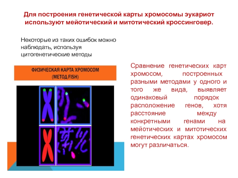 Что такое генетическая карта хромосомы