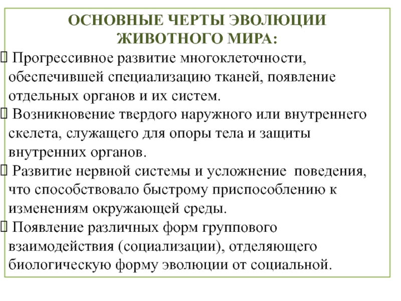 Основные этапы эволюции животных презентация