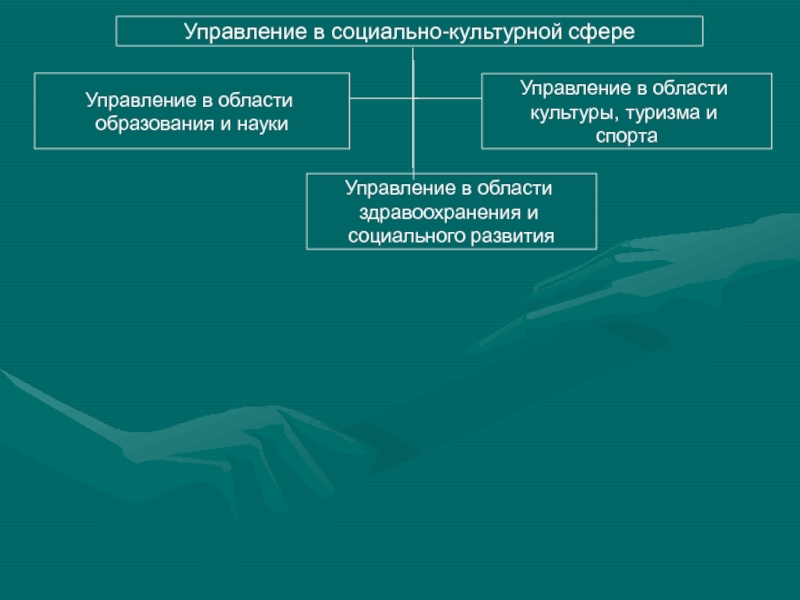 Социально культурная сфера административное право