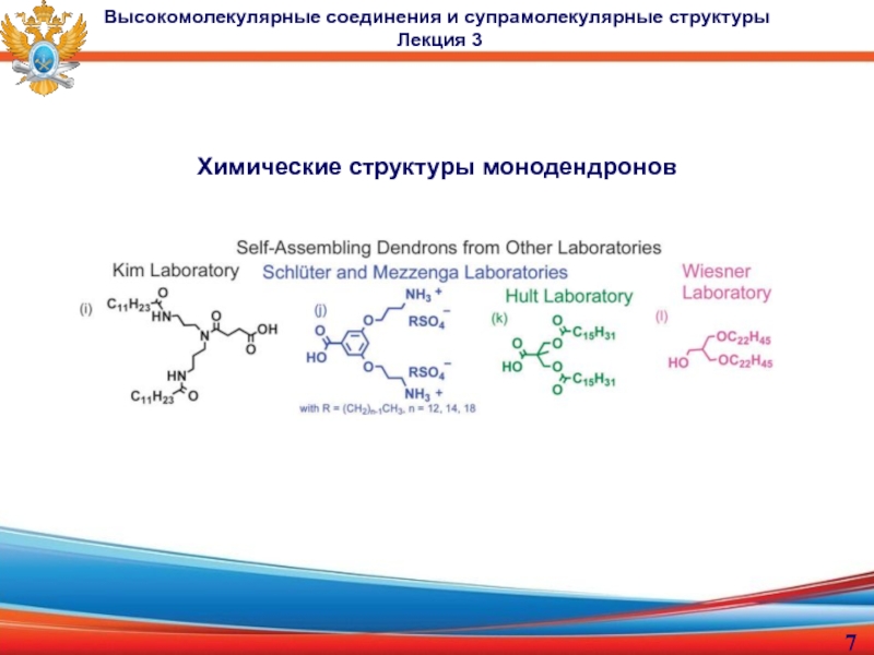 доцент, к.х.н. Малахова Юлия Николаевна
Лекция 3
Высокомолекулярные Химические структуры монодендроновВысокомолекулярные соединения и супрамолекулярные структуры Лекция 3 Химические структуры монодендроновВысокомолекулярные соединения и супрамолекулярные структуры Лекция 3