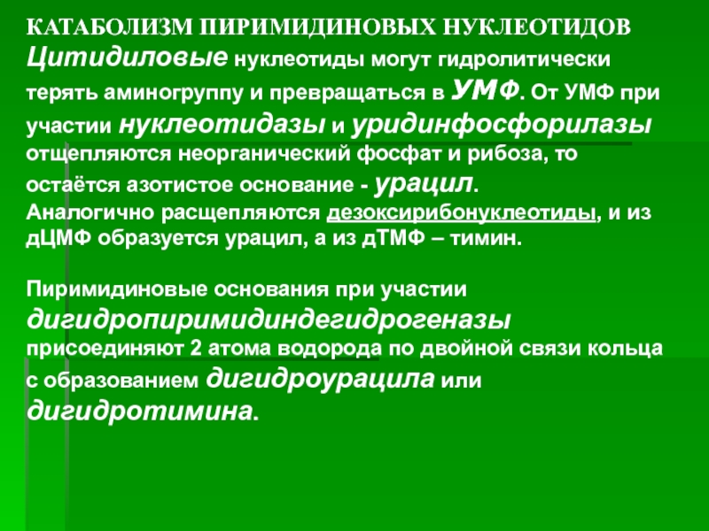 5′-Нуклеотидазой. Нуклеотидазы. Экто нуклеотидазы. УРИДИНФОСФОРИЛАЗА.