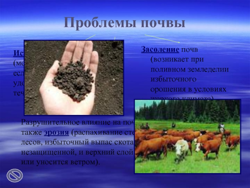 Проблемы почвыРазрушительное влияние на почву оказывает также эрозия (распахивание степей, уничтожение лесов, избыточный выпас скота делают почву