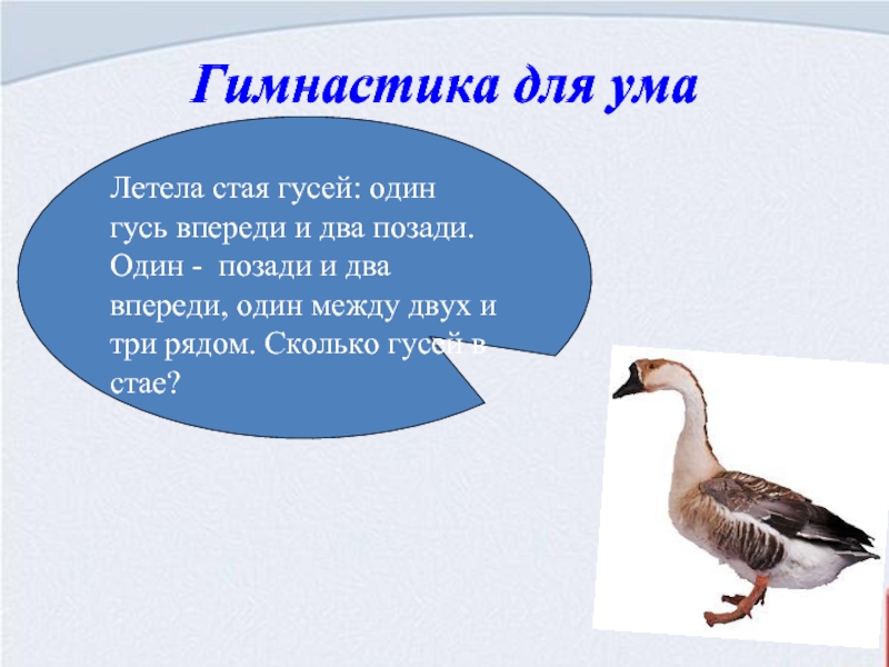 Сколько впереди. Задача про гусей. Летела стая гусей один впереди два позади два. Задача про гусей один впереди два позади. Задачи на логику с гусями.