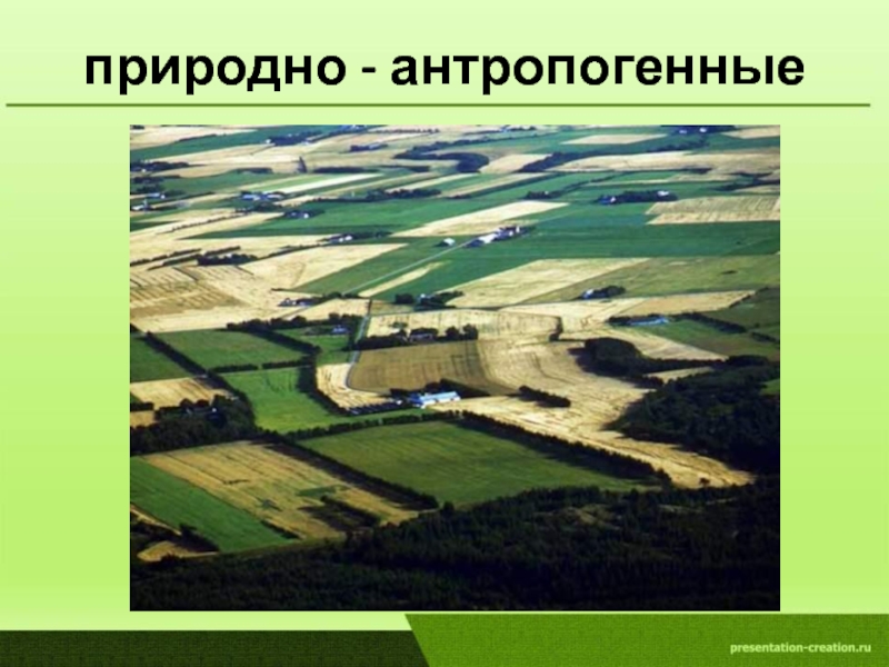 Природно антропогенный объект это. Антропогенный ландшафт. Природно-антропогенные ландшафты. Естественно антропогенные ландшафты это. Антропогенные природные комплексы.