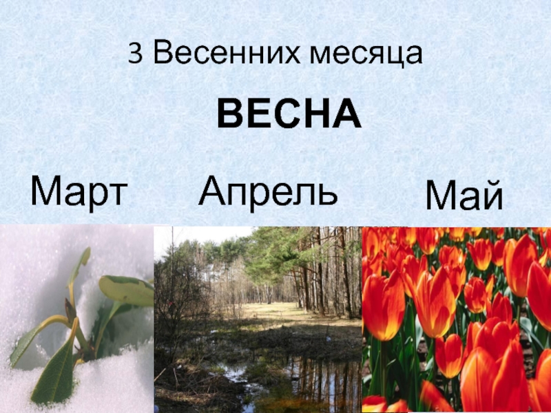 Период весны в месяцах