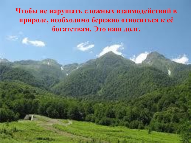 Чтобы не нарушать сложных взаимодействий в природе, необходимо бережно относиться к её богатствам. Это наш долг.