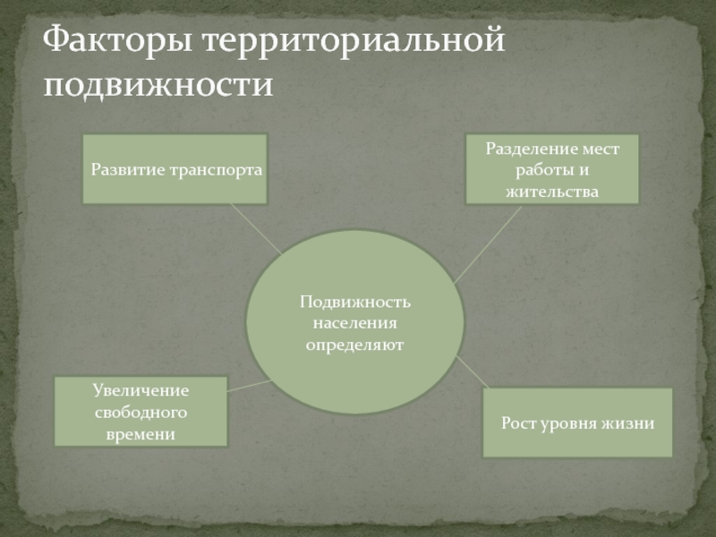 Составьте схему территориальной подвижности вашей семьи суточной еженедельной в течение года