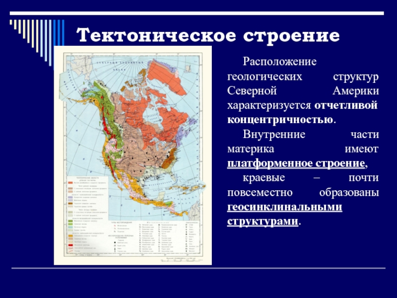 Тектоническая структура южной америки таблица. Тектоника и рельеф Северной Америки. Тектонические структуры Северной Америки. Геологическое строение севера Америки. Тектонические структуры скалистых гор Северной Америки.