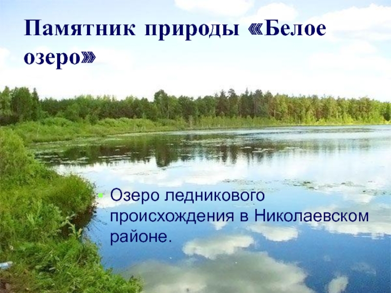 Водоемы ульяновской области проект