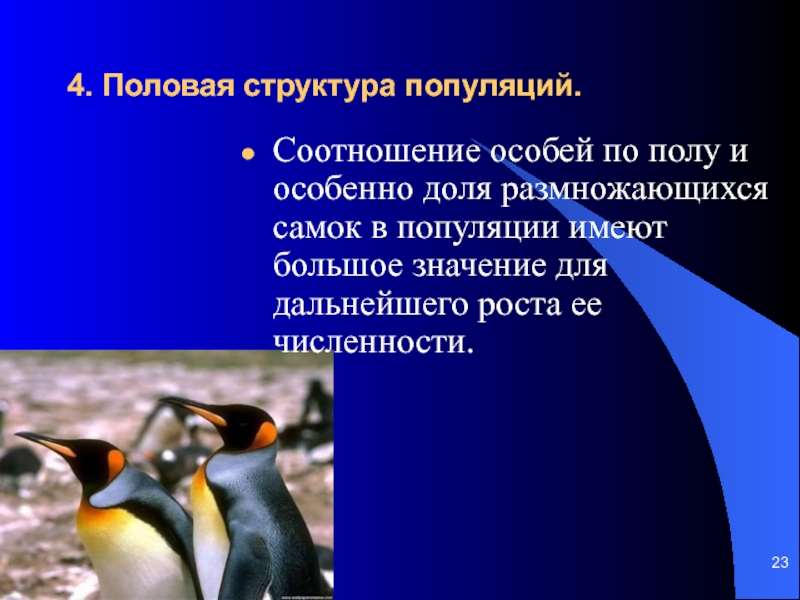 Соотношение особей. Половая структура популяции. Половая структура популяции популяции. Половая структура популяций животных. Что такое половая и возрастная структура популяции.