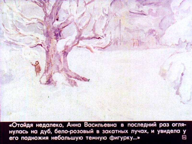 Какое впечатление произвел зимний дуб на учительницу. Юрия Нагибина «зимний дуб». Ю Нагибин зимний дуб. Нагибин зимний дуб иллюстрация. Ю Нагибин зимний дуб Автор.