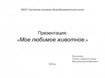 Презентация к уроку немецкого языка по теме 