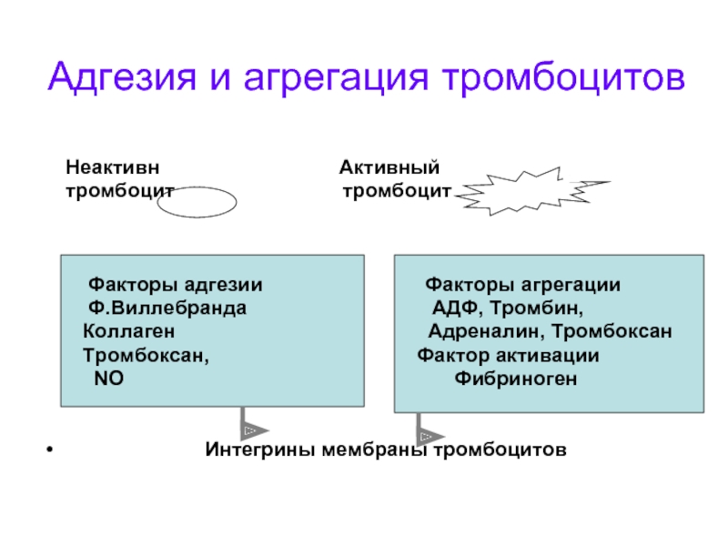 Агрегация это. Факторы вызывающие адгезию и агрегацию тромбоцитов. Факторы тромбоцитов регулирующие адгезию и агрегацию тромбоцитов. Факторы агрегации тромбоцитов. Факторы ускоряющие и препятствующие адгезии и агрегации тромбоцитов.