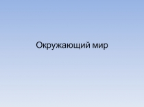 Роль леса в природе и жизни людей 4 класс