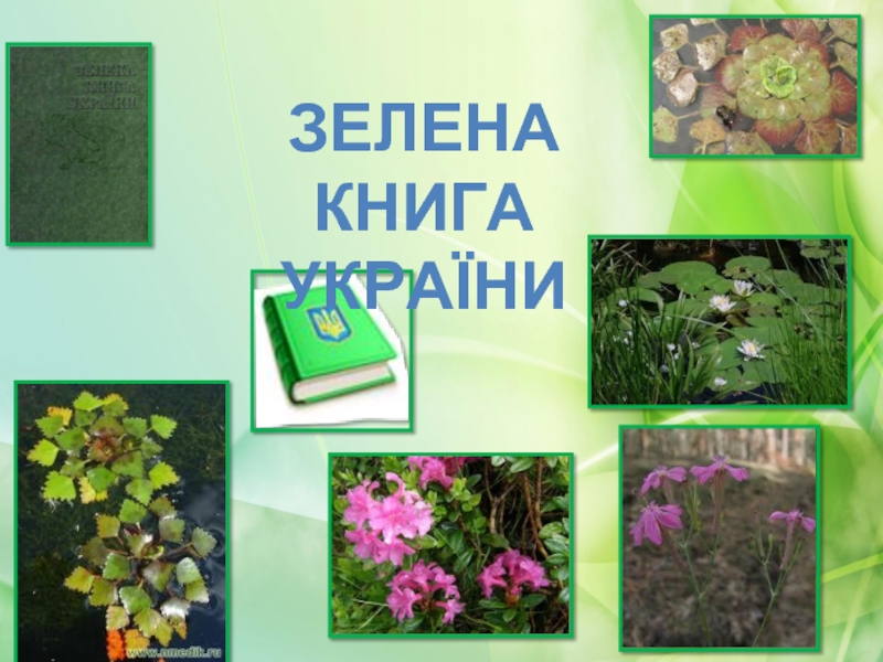 Презентация Зелена книга України