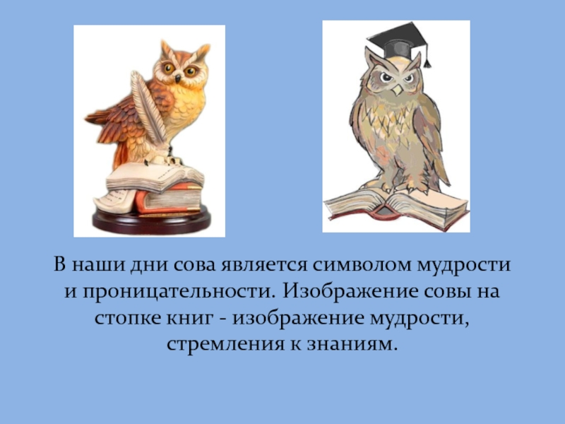 Некоторые ученые считают что совы видят. Символ мудрости и знаний. Сова символ мудрости. Сова знак мудрости и знаний. Филин символ мудрости и знаний.