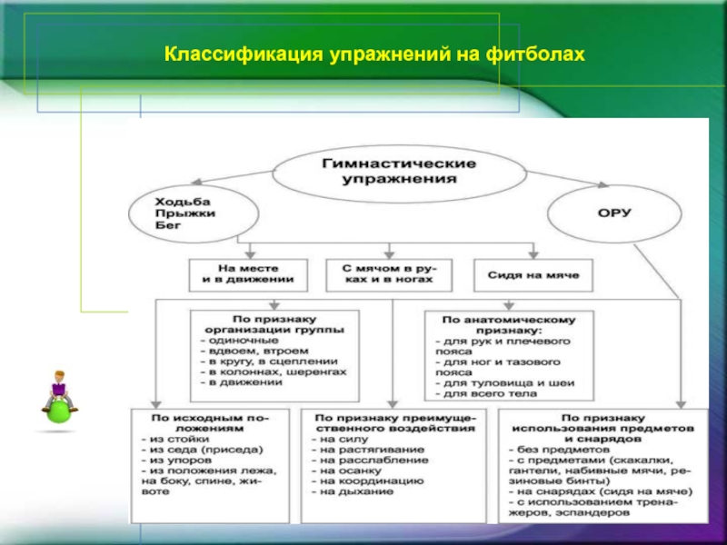 Классификация здоровья. Классификация упражнений. Классификация гимнастики. Классификация тренировок. Классификация фитбол-тренировок.