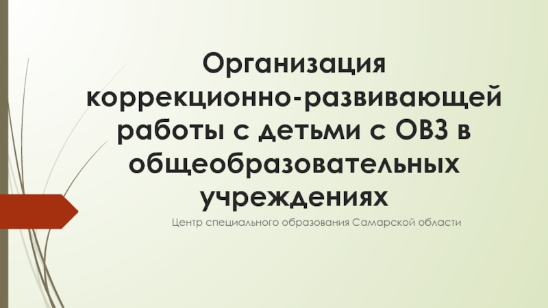 Организация коррекционно-развивающей работы с детьми с ОВЗ в общеобразовательных учреждениях