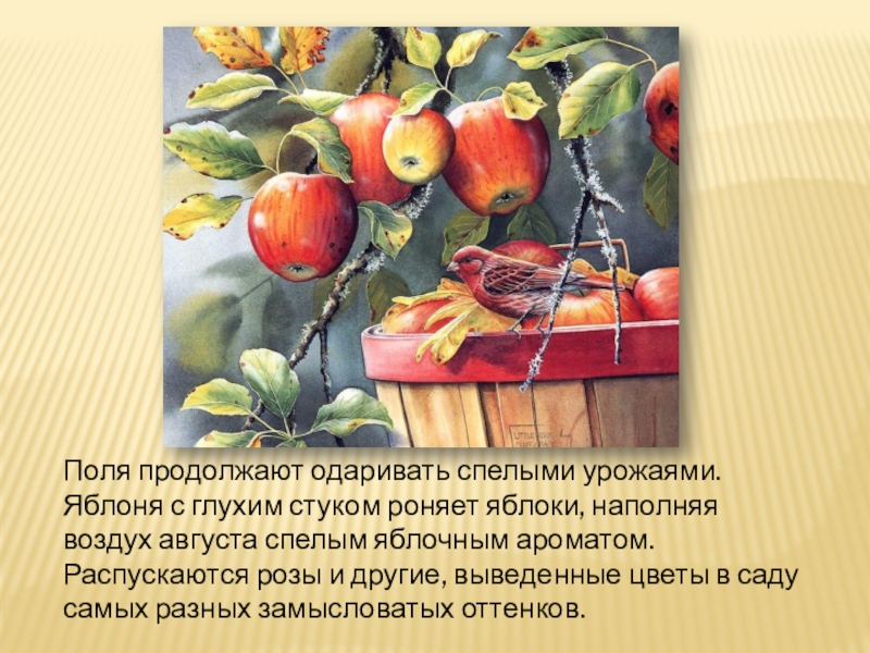 Продолжи по полям. Яблок аромат стихи. Сочинение запах яблока. Запах яблока презентация. Роняет яблоки с деревьев 350 загадок.