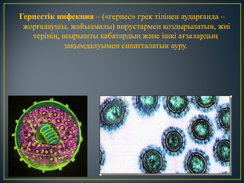 Герпетическая инфекция. Генерализованная герпетическая инфекция. Патогенез герпетической инфекции. Герпетическая инфекция педиатрия.