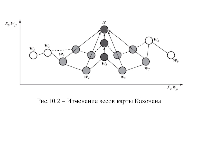 Карты кохонена презентация