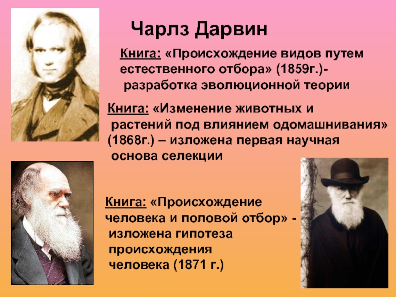 Чарльз дарвин о причинах эволюции животного мира презентация