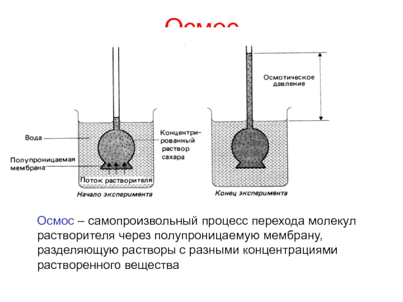 Осмотическое давление глюкоза