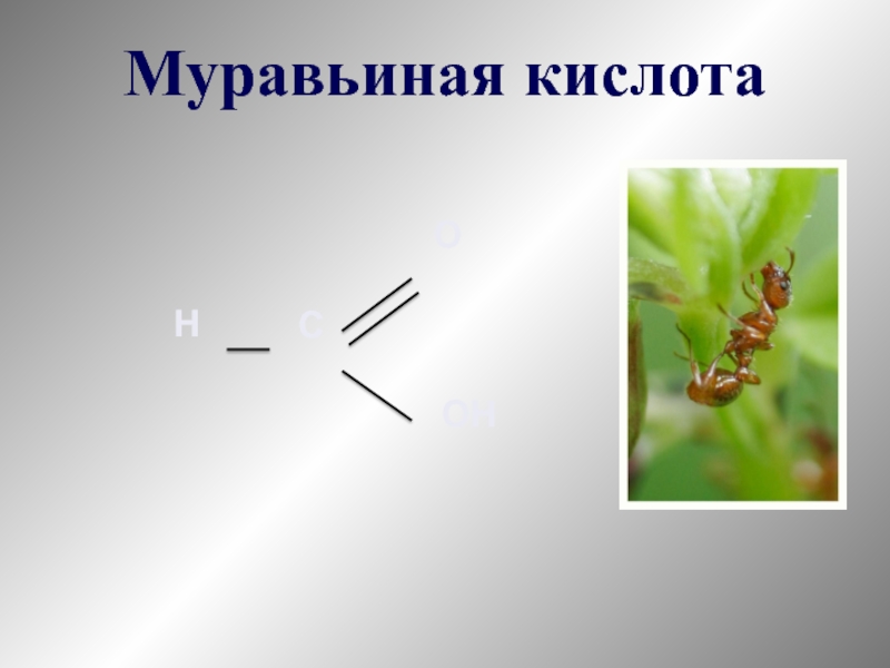 Этилен муравьиная кислота. Муравьиная кислота. Муравьиная кислота и пропанол. Пропанол 1 и муравьиная кислота. Образование муравьиной кислоты.