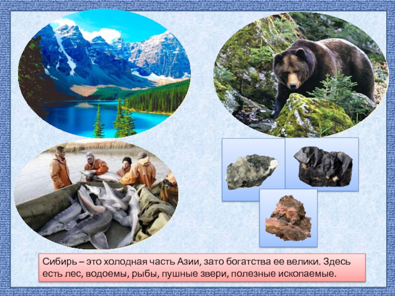 Сибирь – это холодная часть Азии, зато богатства ее велики. Здесь есть лес, водоемы, рыбы, пушные