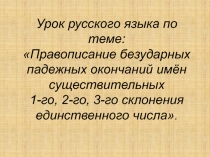 Правописание безударных падежных окончаний имён существительных 1-го, 2-го, 3-го склонения единственного числа