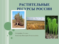 Растительные ресурсы. Растительные ресурсы России 8 класс география презентация. Растительные ресурсы испольковани4. Ресурсы растительного мира где используют.