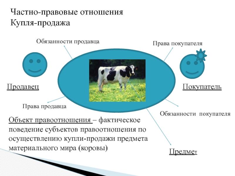 Субъект продаж. Частно-правовое отношение. Правоотношения купли-продажи субъекты. Правоотношения купли продажи объект. Схема правоотношений купли продажи.